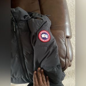 Female small Canada goose